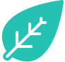Leaf Icon