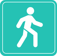 Walk Icon